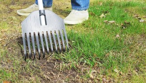 Grass Patch Repair - Learn How to Fix Bare Spots in Your Lawn | Gilmour