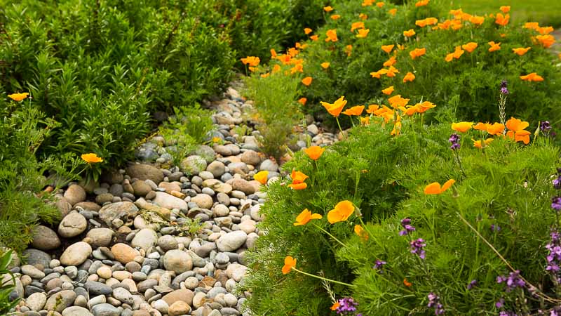 Managing Soil Erosion In Your Yard, How To Stop Landscape Erosion