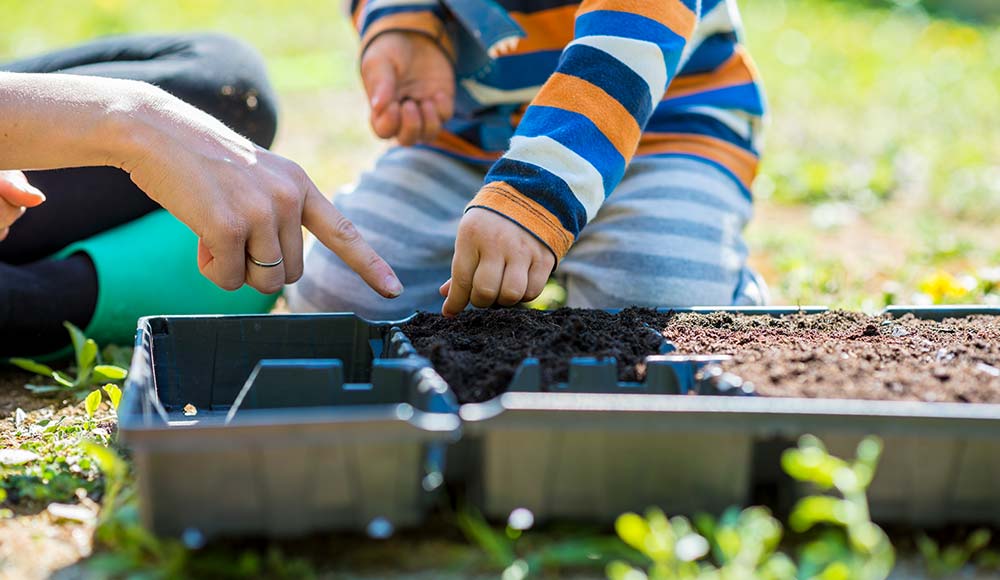 A child being show where to plant seeds in a potting container