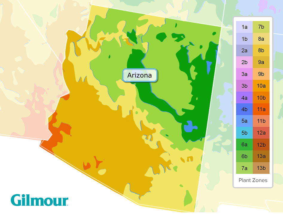 Arizona planting zones