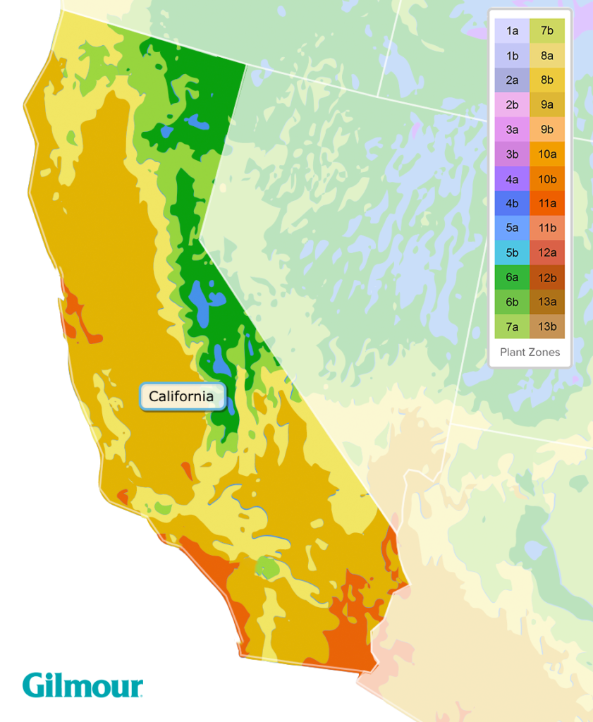 California Planting Zone Map 841x1024 