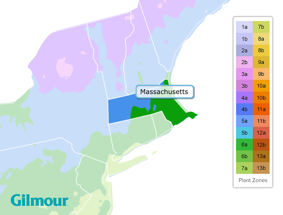 Massachusetts Planting Zones Growing Zone Map Gilmour