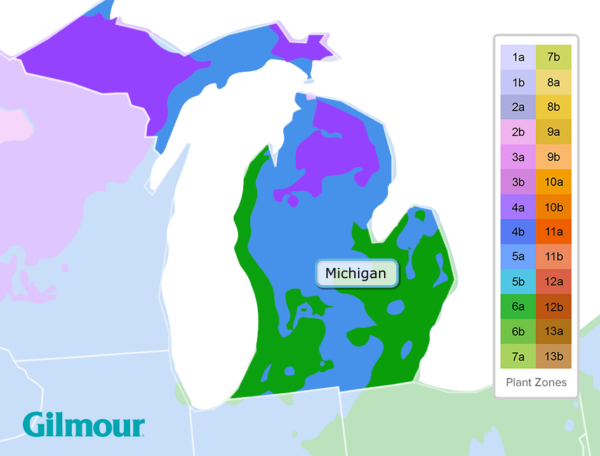 Michigan Planting Zone Map 600x456 