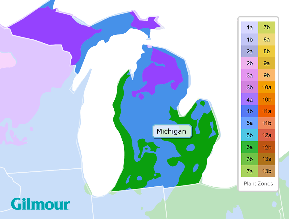 Michigan planting zones