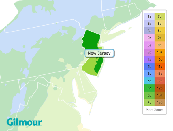 New Jersey Planting Zones Growing Zone Map Gilmour 5936