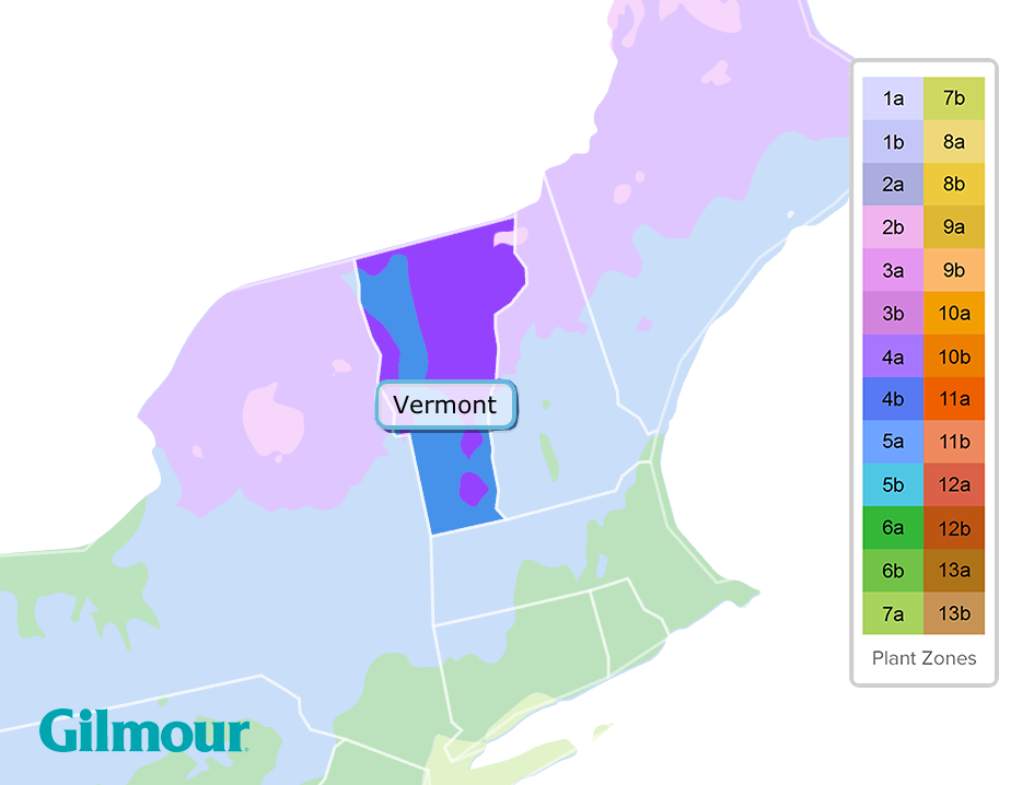 Vermont planting zones
