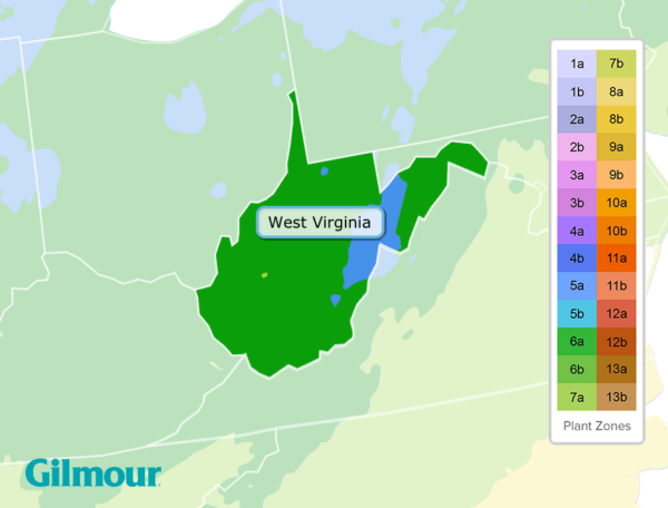 west-virginia-planting-zones-growing-zone-map-gilmour